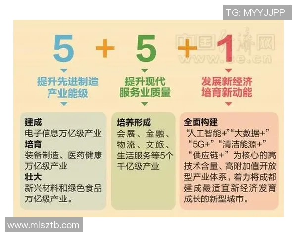 成都篮球队的崛起与发展探秘聚焦球队力量与未来展望