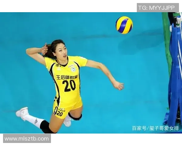 南京排球队的力量与激情：聚焦排球运动的崛起与发展